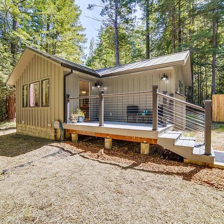 Peaceful Mendocino Cottage Surrounded By Redwoods Exterior photo